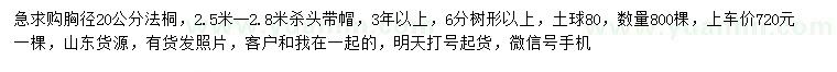 求購胸徑20公分法桐