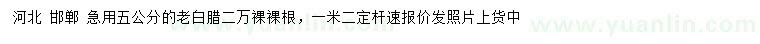 求購(gòu)5公分老白臘