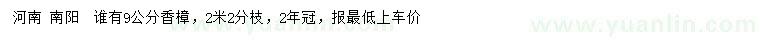 求購9公分香樟