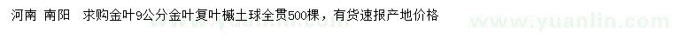求購(gòu)9公分金葉復(fù)葉槭