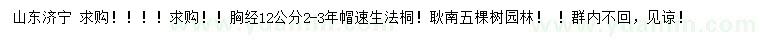 求購(gòu)胸徑12公分速生法桐