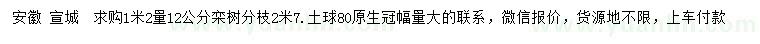 求購1.2米量12公分欒樹