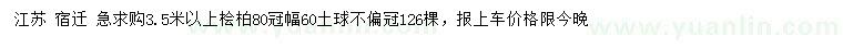 求購3.5米以上檜柏