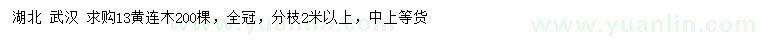 求購13公分黃連木