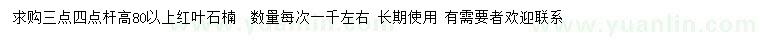 求購高80公分以上紅葉石楠
