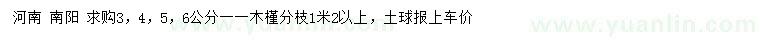 求購3、4、5、6公分木槿