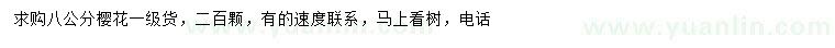 求購(gòu)8公分櫻花