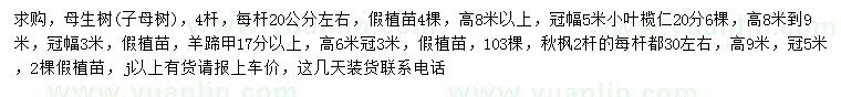 求購母生樹(子母樹)、小葉欖仁、羊蹄甲等