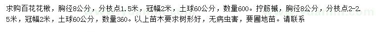 求購胸徑8公分百花花楸、擰筋槭