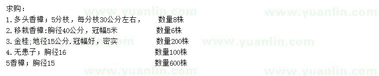 求購(gòu)香樟、金桂、無患子