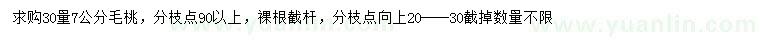 求購30量7公分毛桃