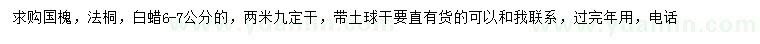 求購國槐、法桐、白蠟