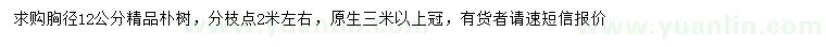求購胸徑12公分精品樸樹
