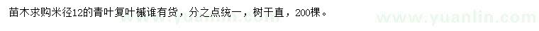 求購(gòu)米徑12公分青葉復(fù)葉槭