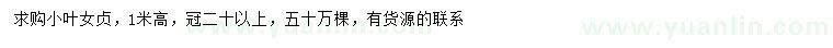 求購高1米小葉女貞