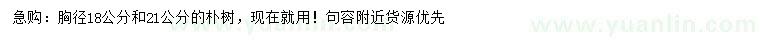 求購(gòu)胸徑18、21公分樸樹