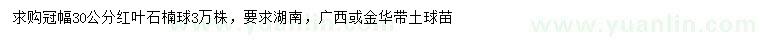 求購冠幅30公分紅葉石楠球