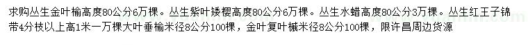 求購(gòu)叢生金葉榆、金葉復(fù)葉槭、叢生水蠟等