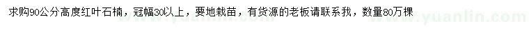 求購(gòu)高90公分紅葉石楠
