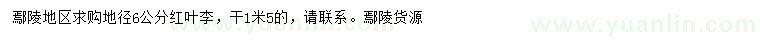 求購地徑6公分紅葉李