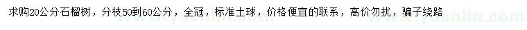求購(gòu)20公分石榴樹
