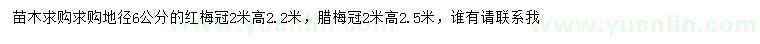 求購地徑6公分紅梅、冠幅2米臘梅