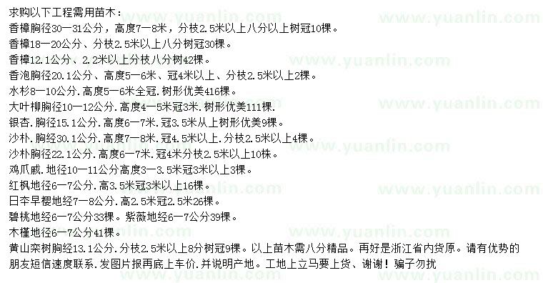 求購香樟、香泡、水杉等