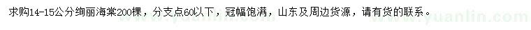 求購14-15公分絢麗海棠