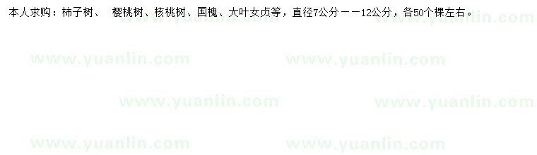 求購柿子樹、 櫻桃樹、核桃樹等