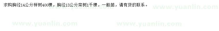 求購(gòu)胸徑14公分櫸樹、13公分欒樹