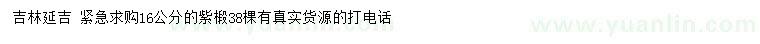 求購16公分紫椴