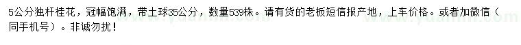 求購5公分獨桿桂花（金桂）
