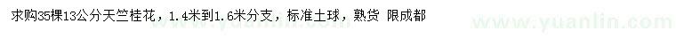 求購13公分天竺桂花