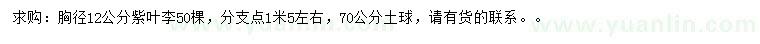 求購胸徑12公分紫葉李