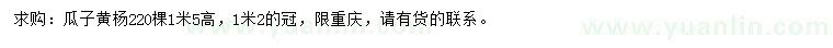 求購高1.5米瓜子黃楊