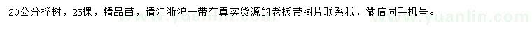 求購20公分櫸樹