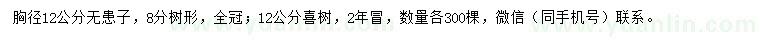 求購胸徑12公分無患子、喜樹