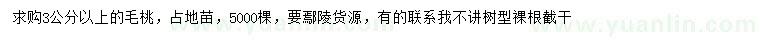 求購3公分以上毛桃