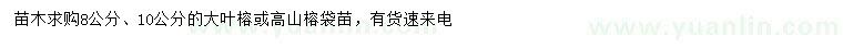 求購(gòu)8、10公分大葉榕或高山榕