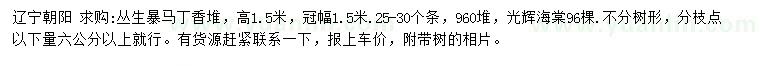 求購高1.5米叢生暴馬丁香、6公分光輝海棠