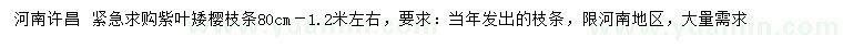 求購(gòu)80-120公分左右紫葉矮櫻枝條