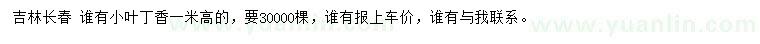 求購(gòu)高1米小葉丁香