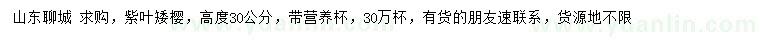 求購高度30公分紫葉矮櫻