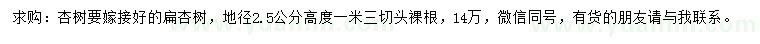 求購地徑2.5公分杏樹