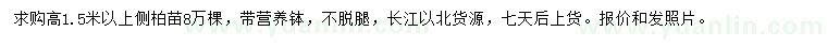 求購高1.5米以上側(cè)柏苗