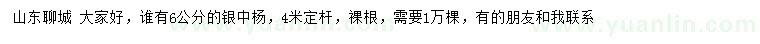 求購6公分銀中楊