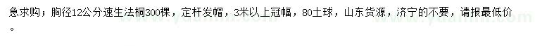 求購胸徑12公分速生法桐
