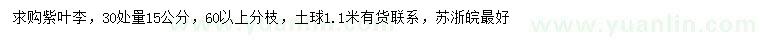 求購(gòu)30處量15公分紫葉李
