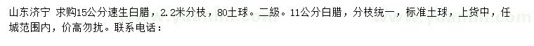 求購(gòu)15公分速生白臘、11公分白臘