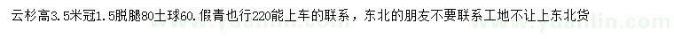 求購高3.5米云杉